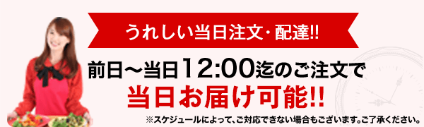 うれしい当日注文・配達!!前日～当日12:00迄のご注文で当日お届け可能!!